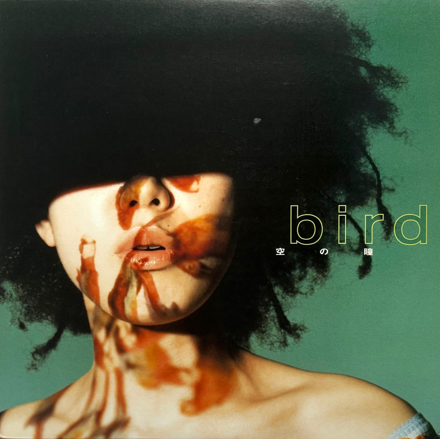 Bird - Sora No Hitomi 12"