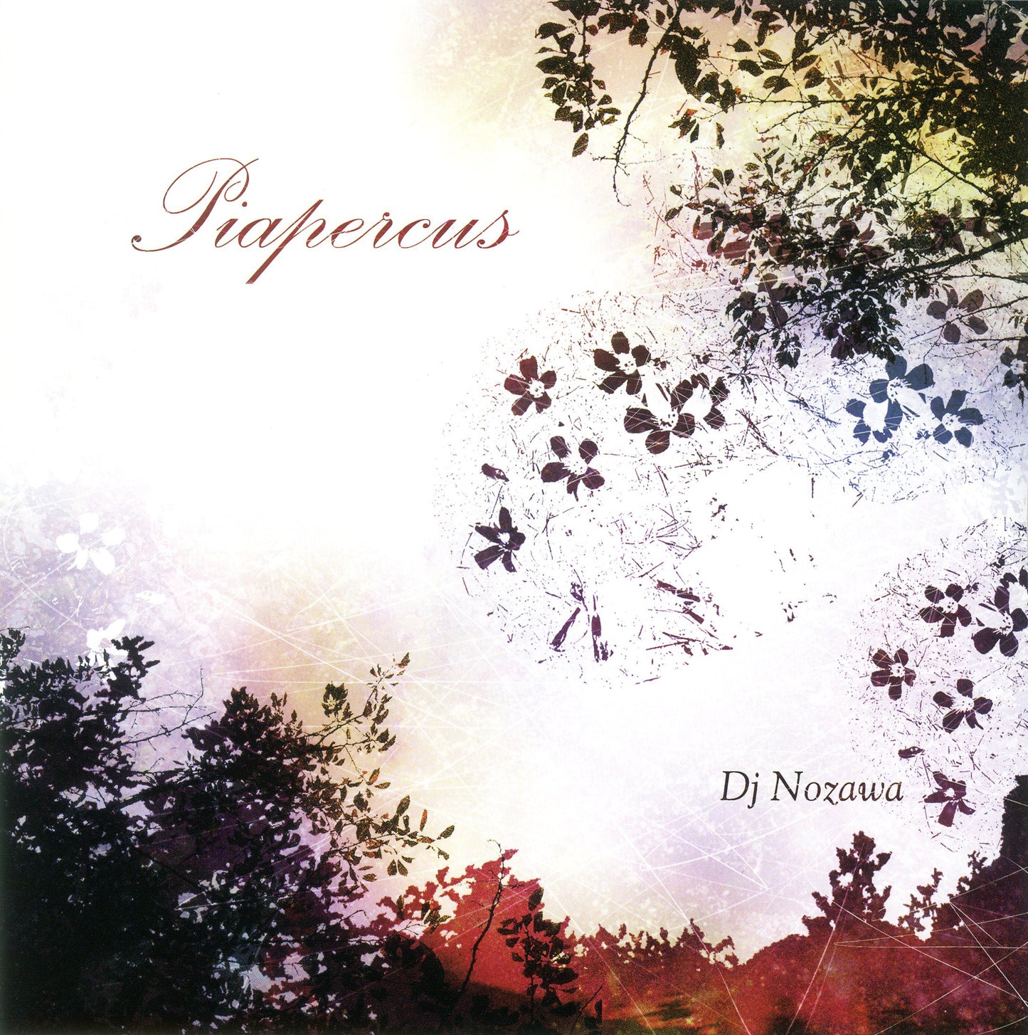 DJ Nozawa - Piapercus / Ao 7"