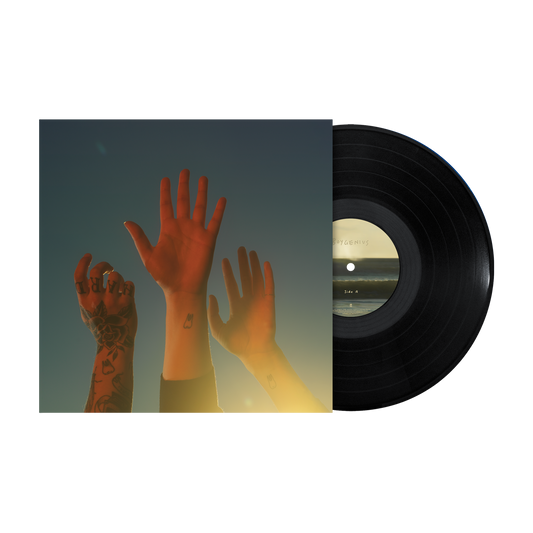 boygenius - the record