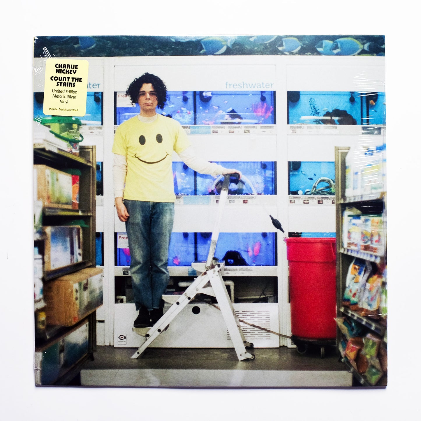Charlie Hickey - Count The Stairs Metallic Silver Vinyl Edition
