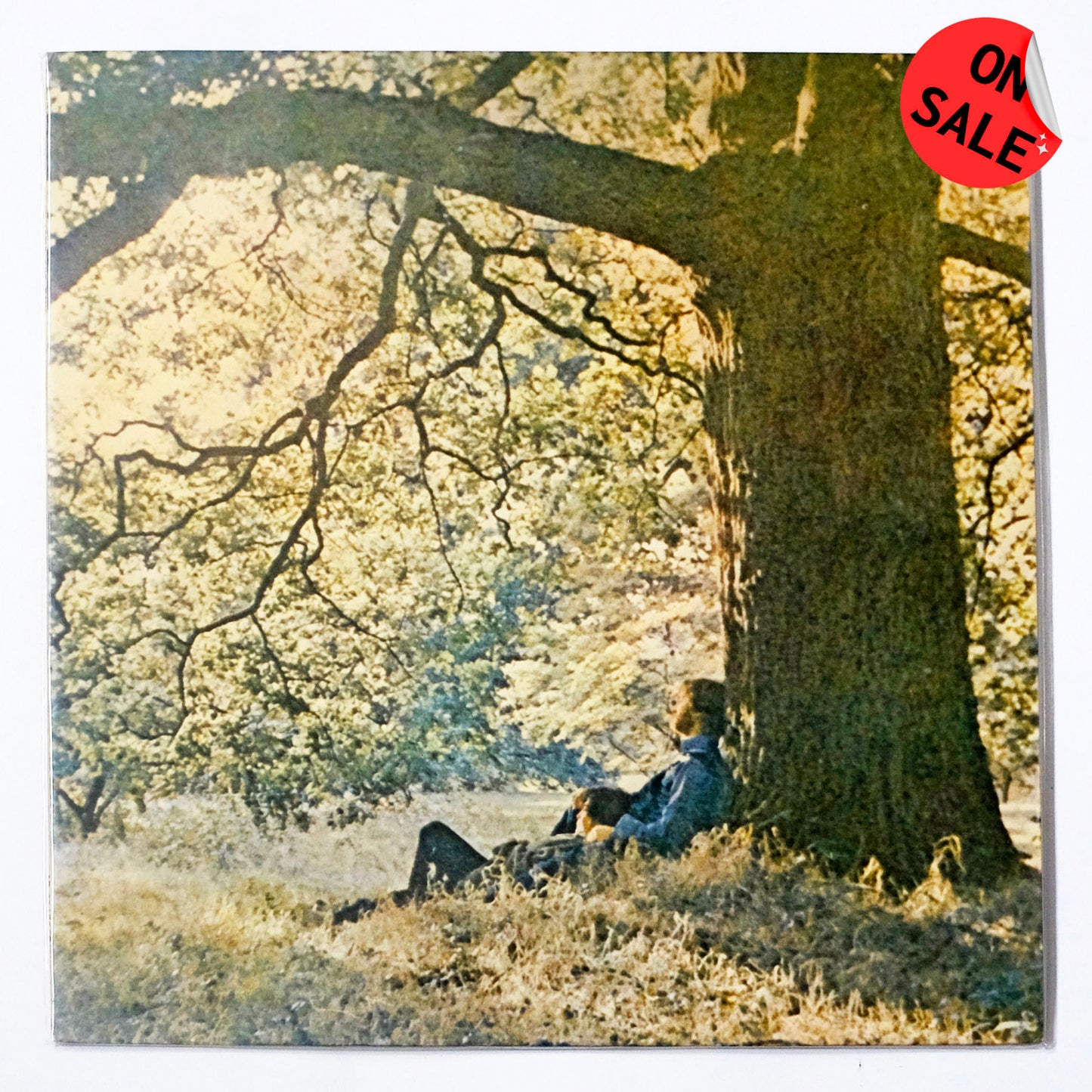 Yoko Ono - Plastic Ono Band